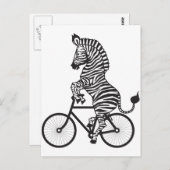 Carte Postale Zebra à vélo (Devant / Derrière)