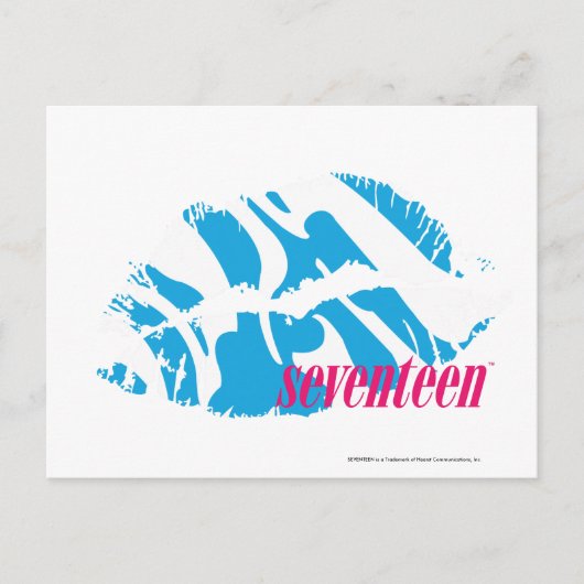 Carte Postale Zebra Aqua (Devant)