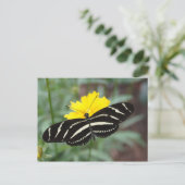 Carte Postale Zebra Butterfly Beauty II (Debout devant)