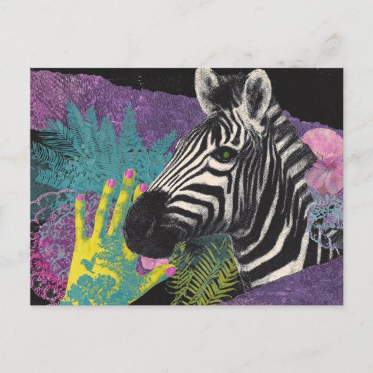 Carte Postale Zebra Collage (Devant)