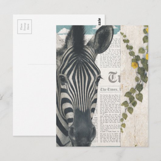 Carte Postale Zebra Collage (Devant / Derrière)