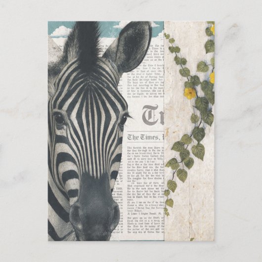 Carte Postale Zebra Collage (Devant)
