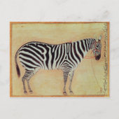 Carte Postale Zebra, de l'"Album Minto", Mughal, 1621, (Devant)