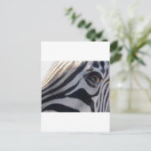 Carte Postale Zebra Eye (Debout devant)
