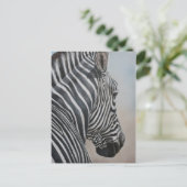 Carte postale Zebra Look Wildlife Art (Debout devant)