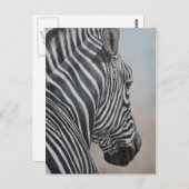 Carte postale Zebra Look Wildlife Art (Devant / Derrière)