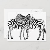 Carte Postale Zebra Love (Devant / Derrière)