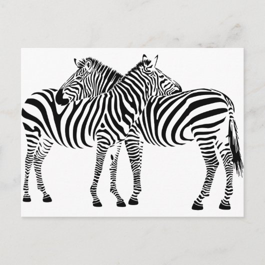 Carte Postale Zebra Love (Devant)