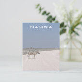Carte postale Zebra, Namibie (Debout devant)