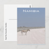 Carte postale Zebra, Namibie (Devant / Derrière)