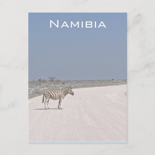 Carte postale Zebra, Namibie (Devant)