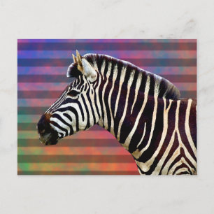 Carte Postale Zebra on Psychedelic Stripes