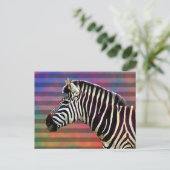 Carte Postale Zebra on Psychedelic Stripes (Debout devant)