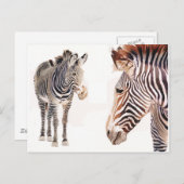 Carte Postale "Zebra Pair" Aquarelle Art de la faune (Devant / Derrière)