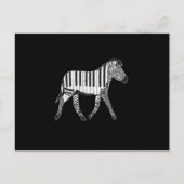 Carte Postale Zebra Piano Keyboards Piano Player Piano Player Pi (Devant)