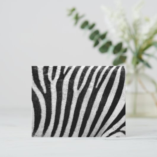 Carte Postale Zebra Print, Zebra Stripes, Noir Et Blanc (Debout devant)