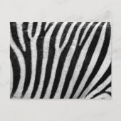 Carte Postale Zebra Print, Zebra Stripes, Noir Et Blanc (Devant)