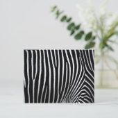 Carte Postale Zebra Skin (Debout devant)