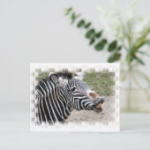 Carte postale Zebra souriante (Debout devant)