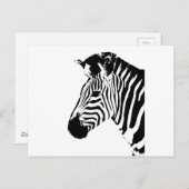 Carte Postale Zebra Stencil (Devant / Derrière)