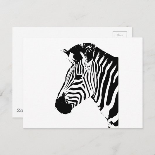 Carte Postale Zebra Stencil (Devant / Derrière)
