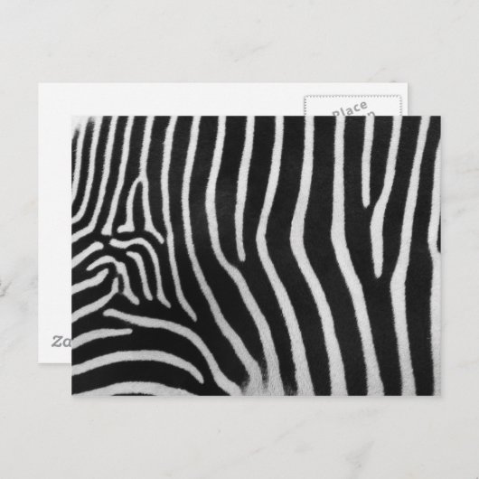 Carte Postale Zebra Stripe Pattern (Devant / Derrière)