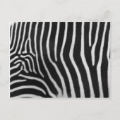 Carte Postale Zebra Stripe Pattern (Devant)