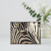 Carte Postale Zebra "Stripes" (Debout devant)