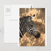 Carte Postale Zebra Stripes (Devant / Derrière)