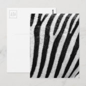 Carte Postale Zebra Stripes (Devant / Derrière)