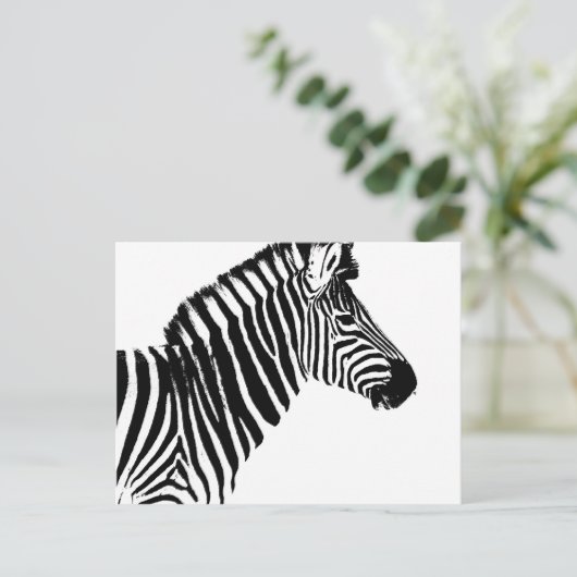 Carte Postale Zebra Stripes (Debout devant)