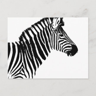 Carte Postale Zebra Stripes