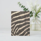 Carte Postale Zebra Stripes (Debout devant)