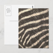 Carte Postale Zebra Stripes (Devant / Derrière)