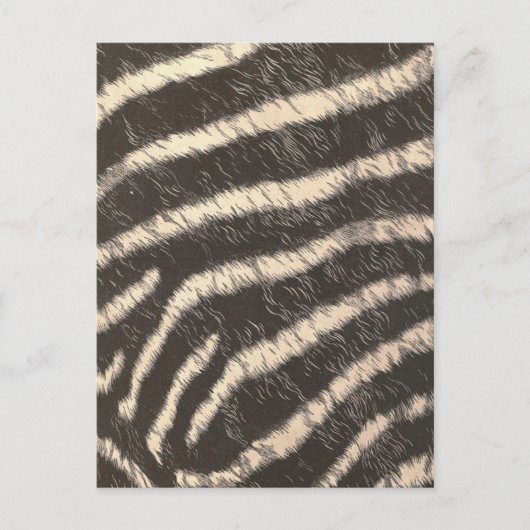 Carte Postale Zebra Stripes (Devant)