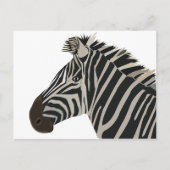 Carte Postale Zebra Stripes Animale Animale (Devant)