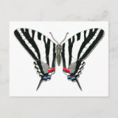 Carte postale Zebra Swallowtail Butterfly (Devant)
