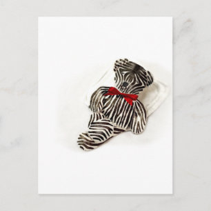 Carte Postale Zebra Teddy