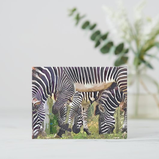 CARTE POSTALE ZEBRAS (Debout devant)