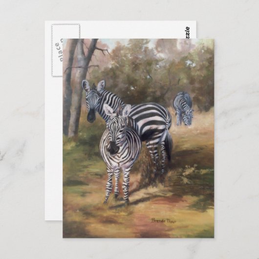 Carte postale Zebras (Devant / Derrière)