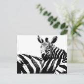 Carte Postale Zebras Modern Black&White Pop Art Photo Modèle (Debout devant)