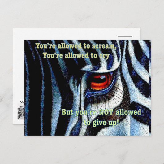 Carte postale zèbre (Devant / Derrière)