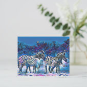 Carte Postale Zèbre afrique namibie nature (Debout devant)