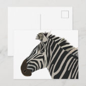 Carte Postale Zèbre Animal  (Devant / Derrière)