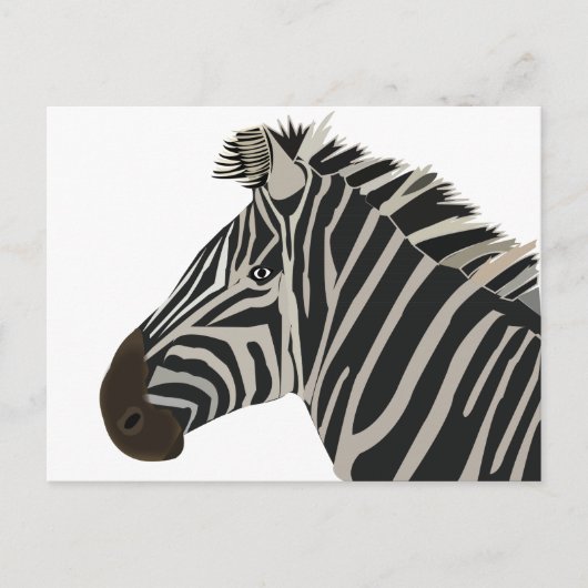 Carte Postale Zèbre Animal  (Devant)