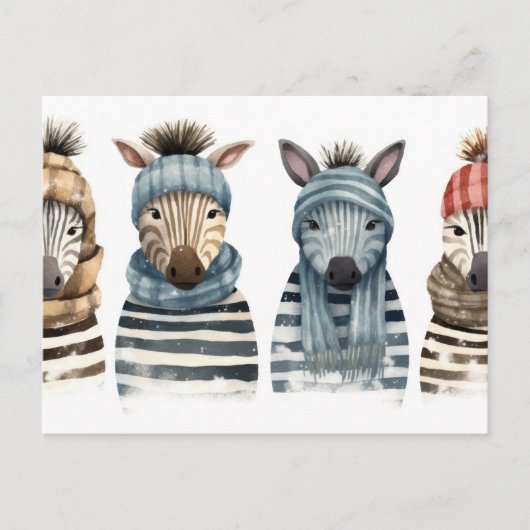 Carte Postale Zèbre cosy (Devant)
