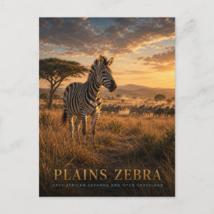 Carte Postale Zèbre des plaines Savane d'Afrique orientale ANIMA