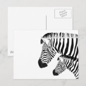 Carte Postale Zèbre et bébé (Devant / Derrière)
