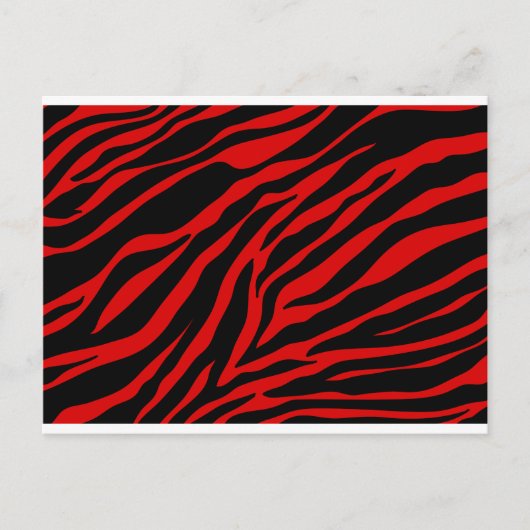 Carte Postale zèbre rouge (Devant)