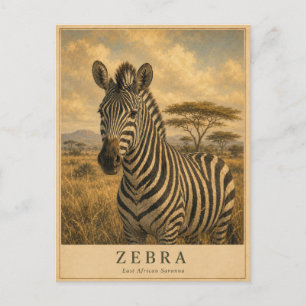 Carte Postale Zèbre Savane d'Afrique de l'Est VINTAGE